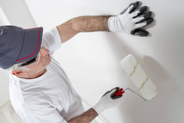 Best Mold Damage Restoration  in Port Norris, NJ