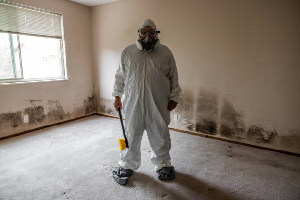 Best Emergency Mold Remediation  in Port Norris, NJ